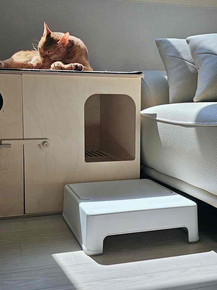 White and natural wood toned restroom entrance space featuring sofa and cat step stool in a cozy pet-friendly setting