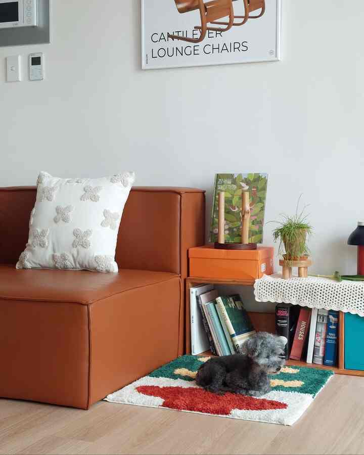 Warm brown sofa with white cushion in living room, natural space featuring dog and colorful rug