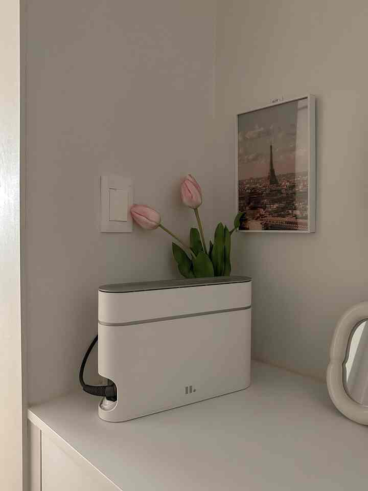 Minimal interior space featuring a white vanity with a Dyson Airwrap stand, pink tulips, and a small framed wall art