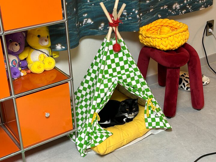 short form carousel card thumbnail