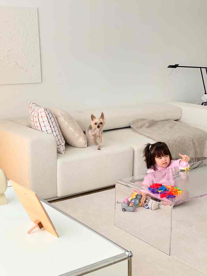 Natural white-toned living room featuring a transparent acrylic table, a toddler playing and a small dog on the sofa