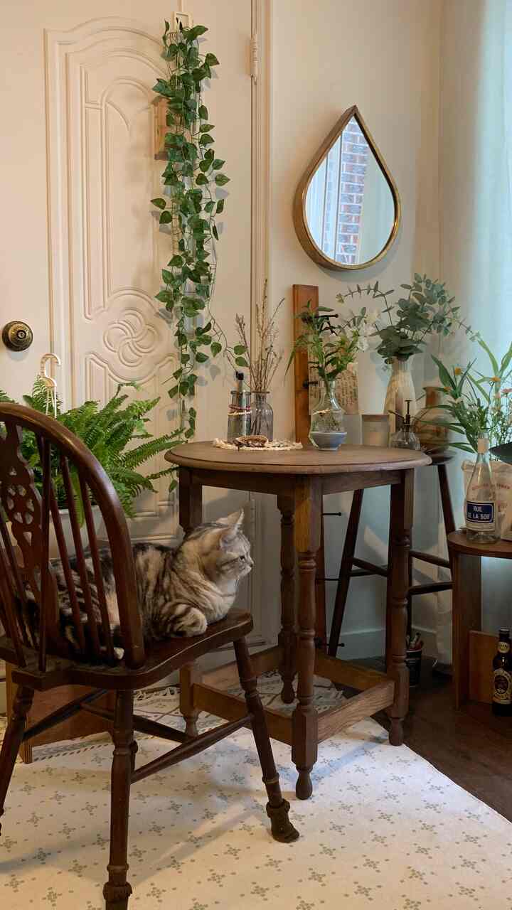 ヴィンテージの木目調家具と植物が配された、猫がいる雰囲気のあるカフェ風リビング
