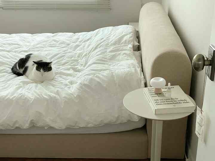 白とベージュ調の寝室、白い掛け布団の上に猫が座り、サイドテーブルに照明が置かれたシンプルでモダンな雰囲気のインテリア