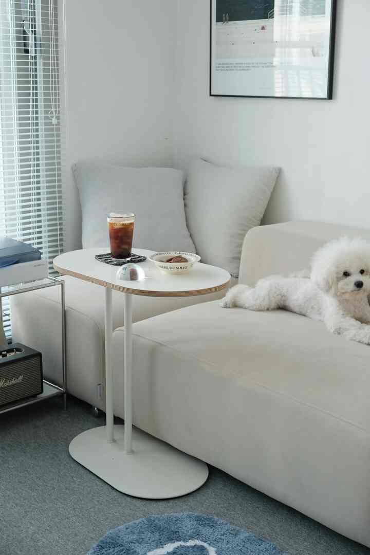 A modern living room in white and beige tones featuring a sofa with a dog and a small side table for home cafe setup