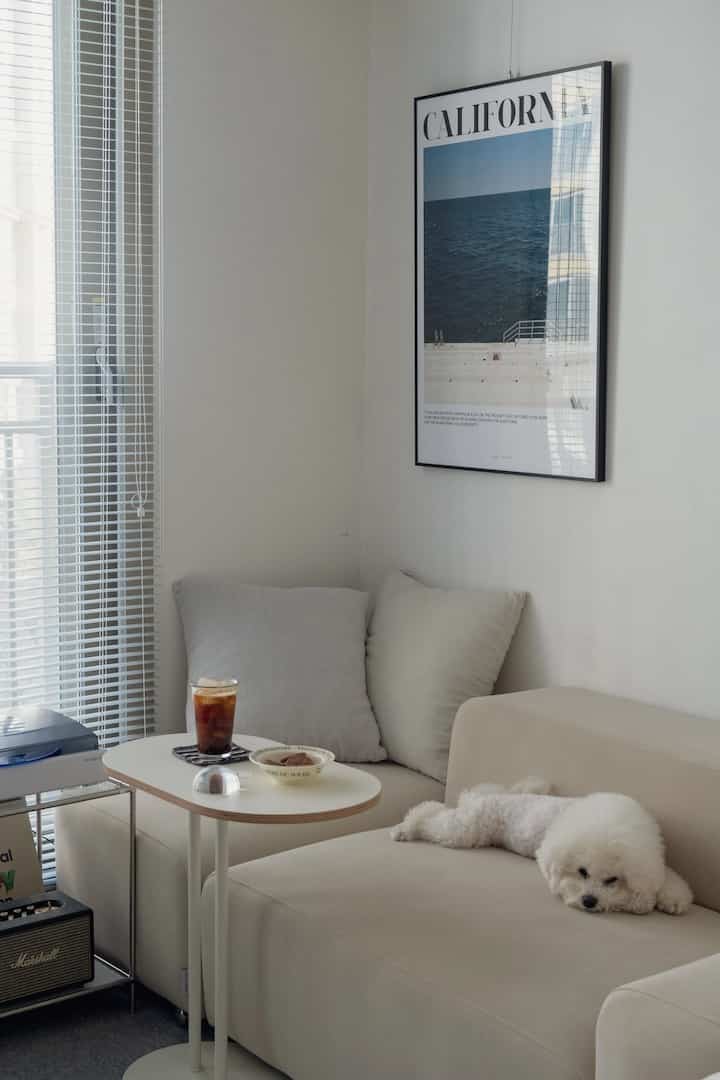 ホワイトとベージュの色調のリビング、ベージュのソファとコーヒーテーブル、犬がくつろぐシンプルでナチュラルな雰囲気のあるインテリア