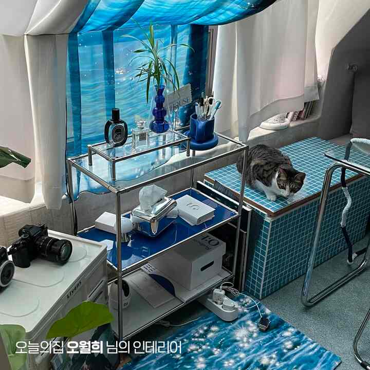 ブルーとホワイトの色調の狭い部屋、猫と青いタイルの収納ボックスが配置された整った空間