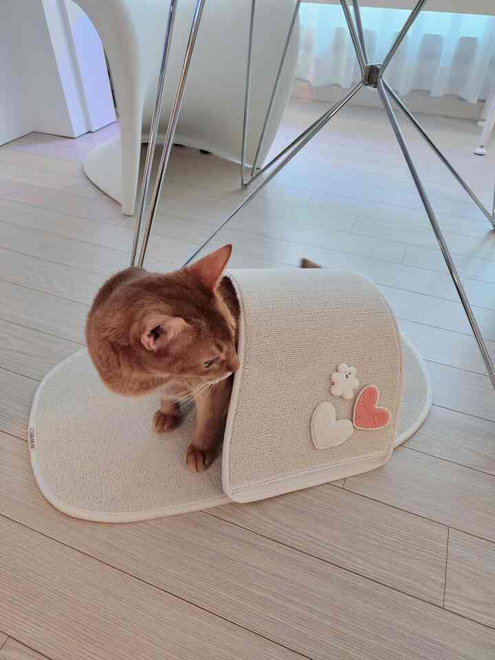 Beige and wood tone space featuring a cat and a cat scratching post creating a cozy pet area