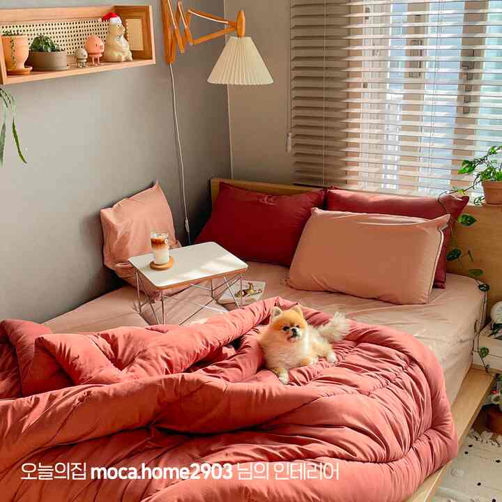 ピンクの寝具と木目調家具が配された居心地の良い寝室、左側に壁付けランプとブラインドが配置された空間