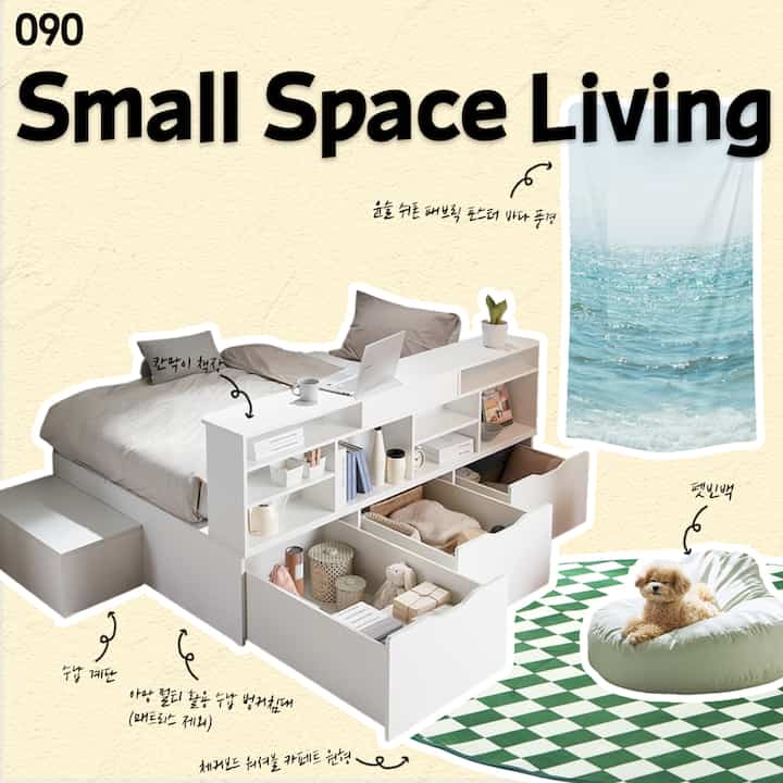 白い収納付きベッドと本棚、緑のチェック柄ラグが配置されたコンパクトなワンルーム寝室、ペット用ビーンバッグと犬がある暖かい空間