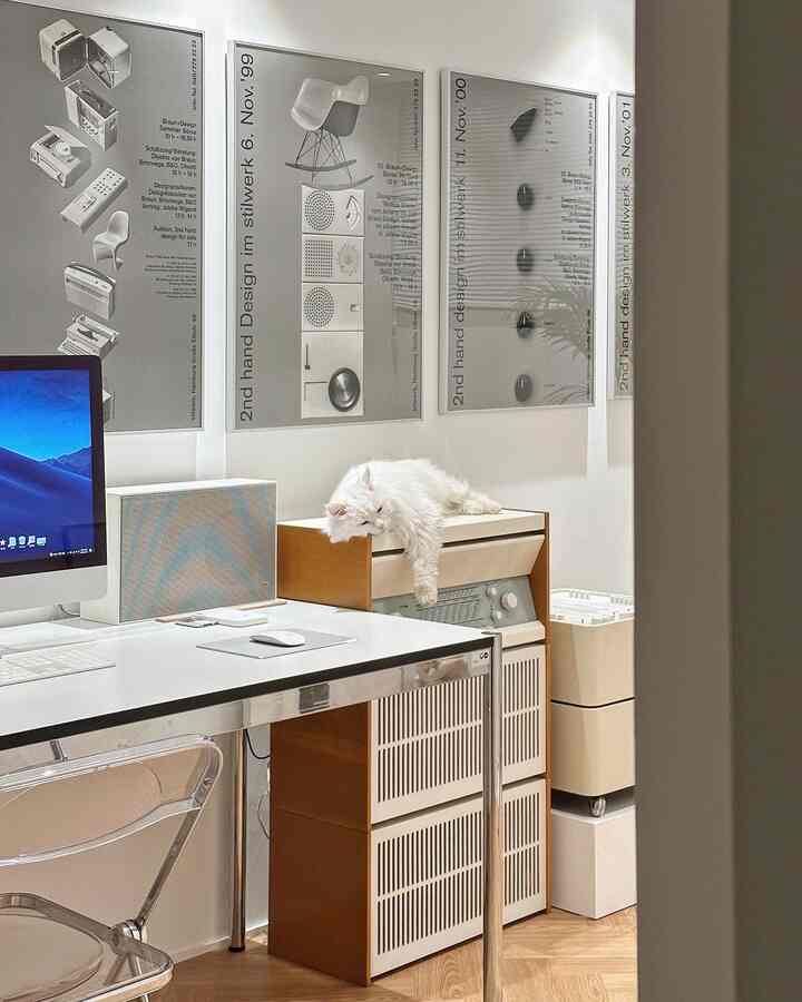 Bright white and warm wood-tone study featuring a mid-century modern desk with a relaxed white cat resting atop a wooden cabinet