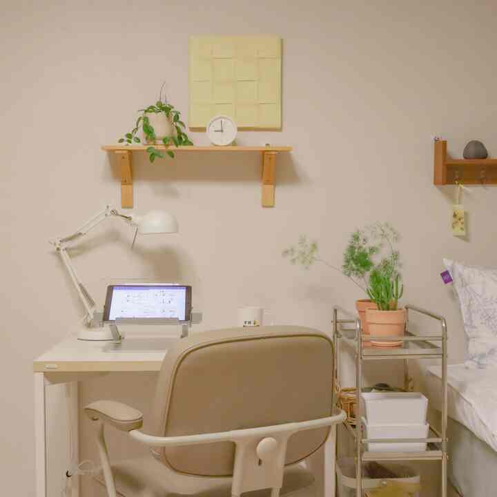Beige-toned studio workspace featuring a Desk, office chair, wall shelf, and plants arranged with a cozy atmosphere