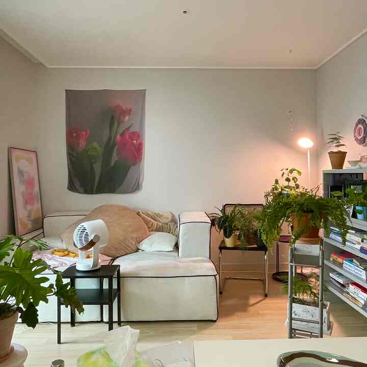 Small living room in bright white and beige tones, featuring a white sofa and abundant plants creating a cozy atmosphere
