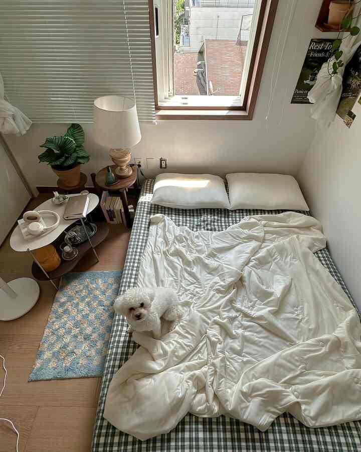 ナチュラルな木目調と白を基調とした小さな寝室、シングルベッドと植物が配置された温かみのある空間