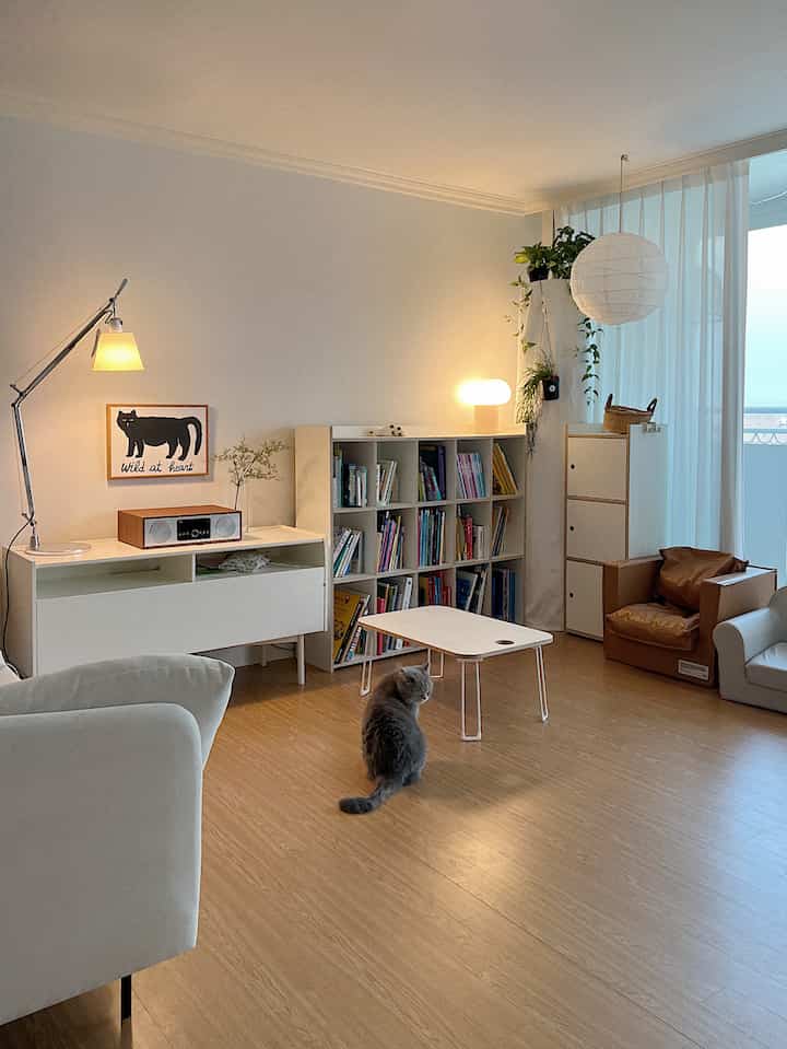 白と木目調の調和が取れたリビングルーム、本棚とフロアランプ、猫がいる雰囲気のある空間