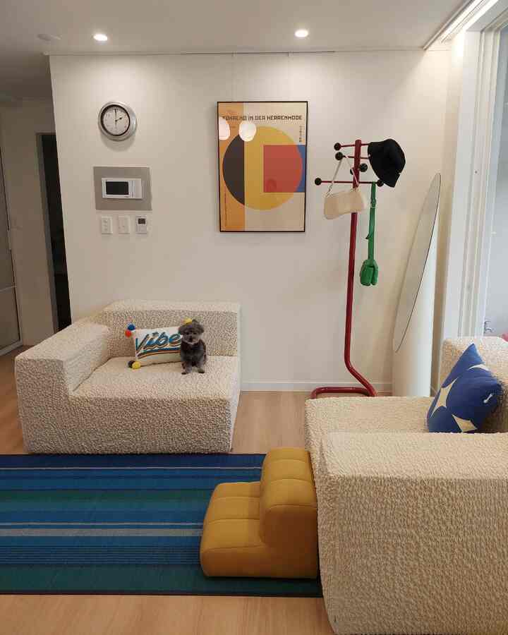 白い壁と木目調の床があるリビング、2つのブークレソファに小さな犬が座り、青のラグと赤いコートラックがアクセントの雰囲気あるインテリア