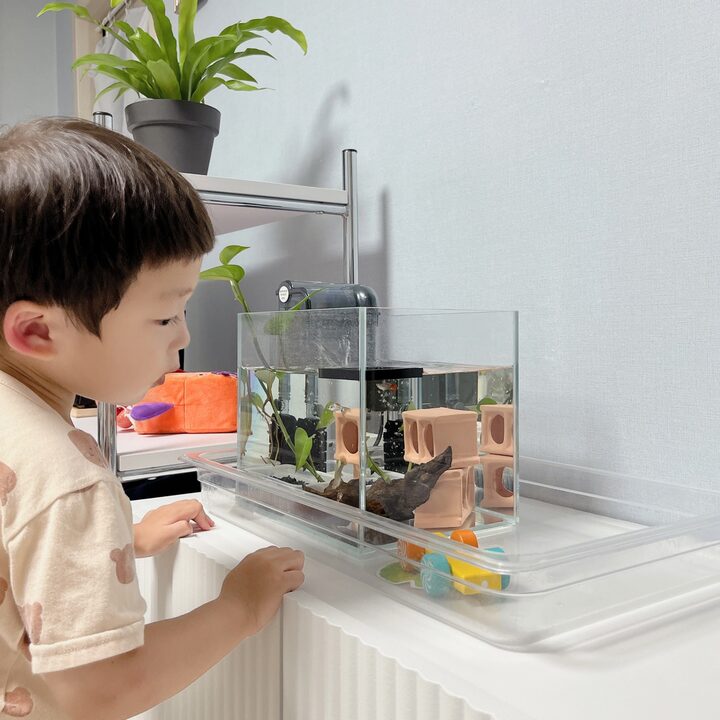 short form carousel card thumbnail