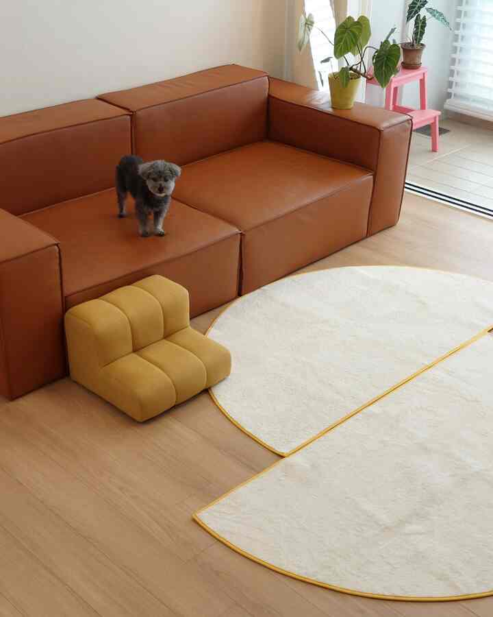Living room featuring brown leather sofa, yellow pet steps, plants, and light wood tone flooring
