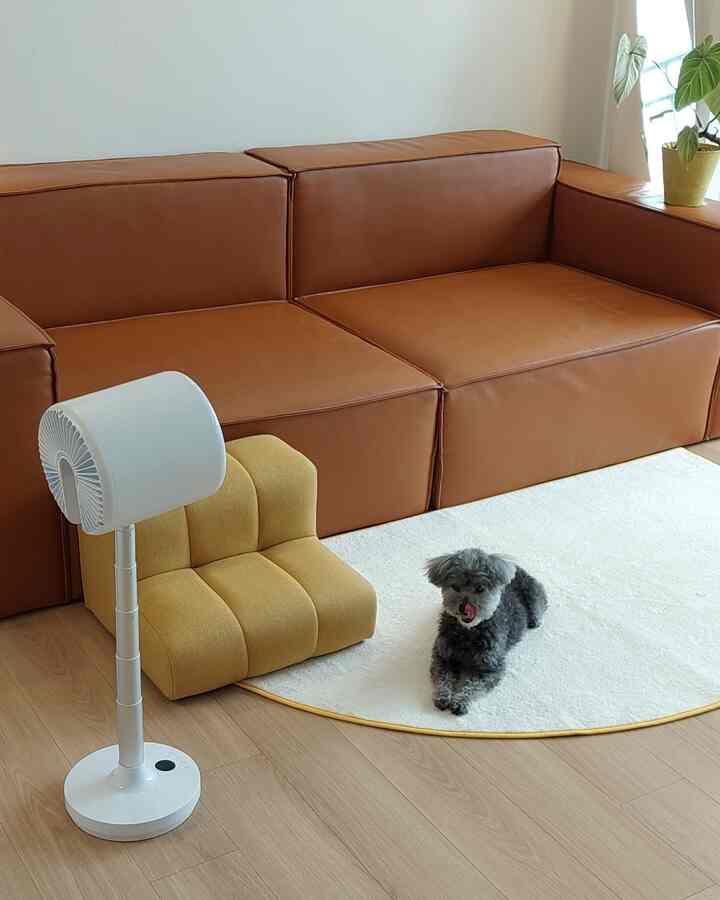 Warm living room featuring a brown leather sofa, yellow pet steps, white rug, and a small dog resting on the rug