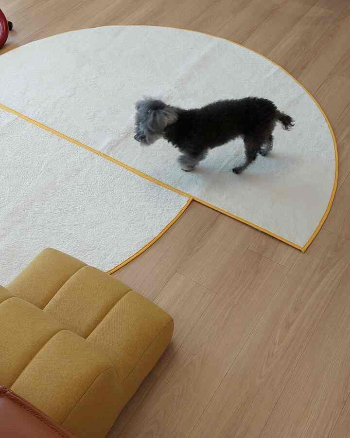 Bright wood tone floor with a half-round rug edged in yellow featuring a small black dog, creating a warm living room atmosphere