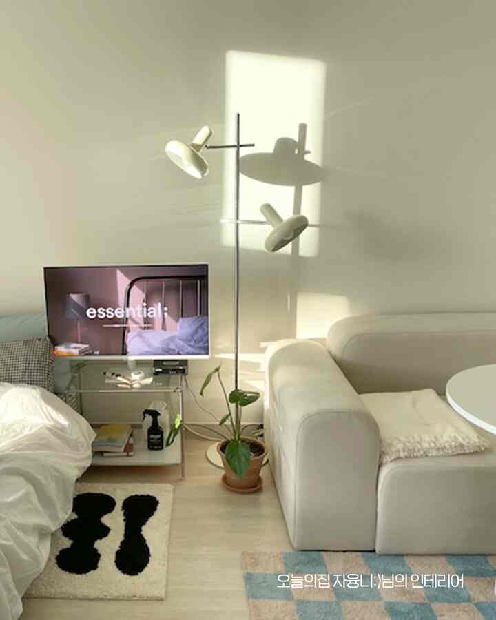 Warm beige and white toned studio living room featuring a modern sofa, floor lamp, and compact layout