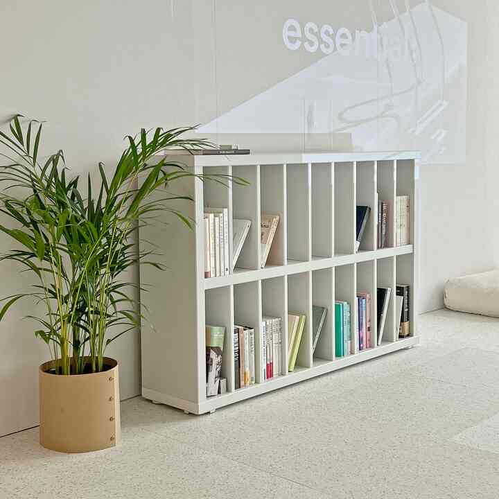 White-toned living room featuring a neatly organized bookshelf and natural plant creating a calm atmosphere