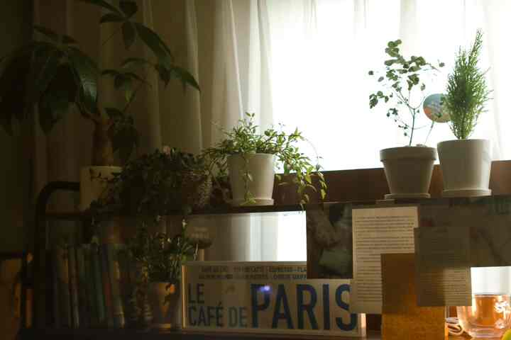 ベージュ調の窓辺に複数の植木鉢とフレンチカントリースタイルの装飾が配置された自然な雰囲気のインテリア