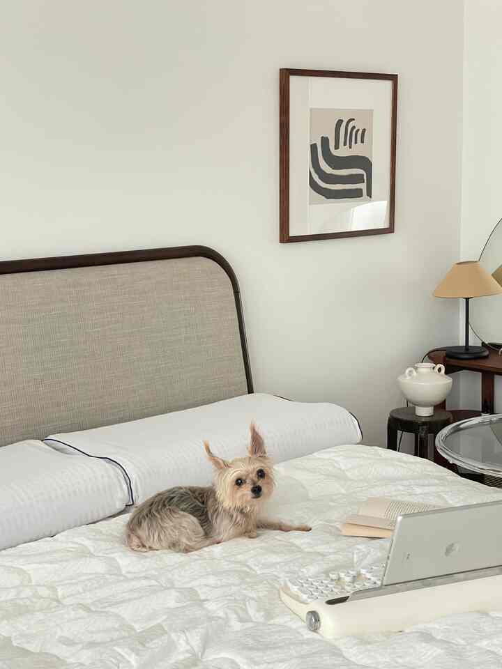 白を基調とした寝室、木製ベッドとナイトテーブル、枕と寝具が整えられた雰囲気のあるインテリア