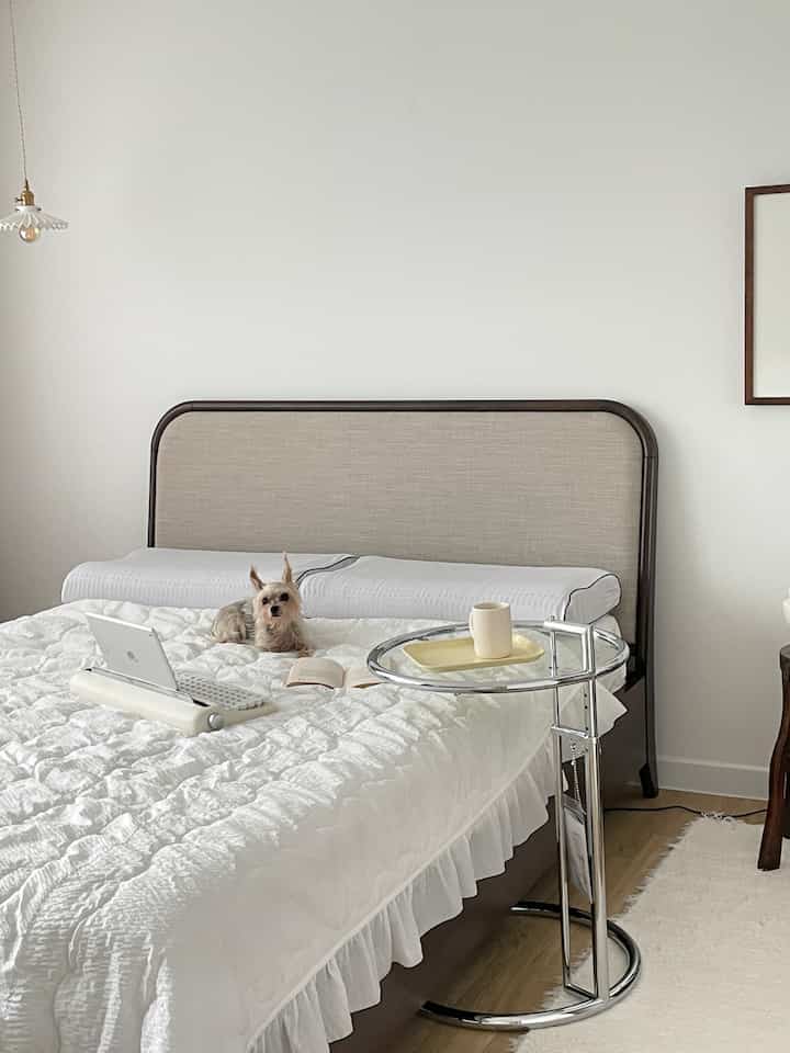 Bright white and natural toned bedroom featuring a centrally placed bed and side table in a simple modern setting with a small dog on the bed