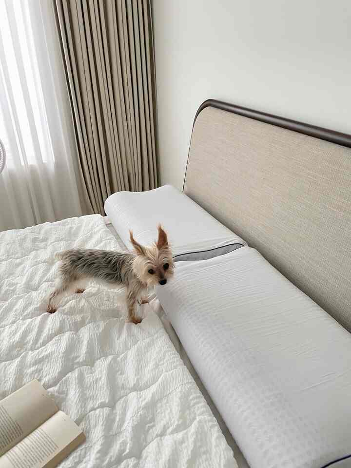A white and beige toned bedroom featuring a bed with pillows, presenting a clean and natural modern atmosphere
