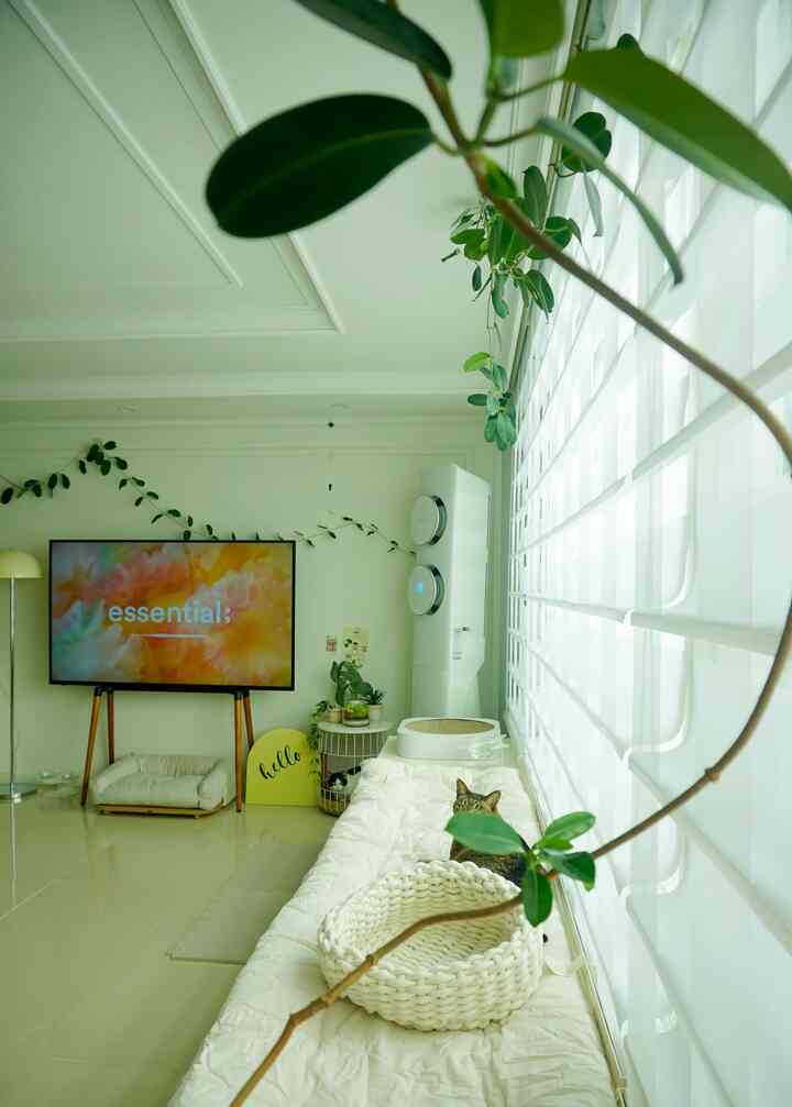 ホワイトとナチュラルカラーのリビング、窓辺に配置された長いウィンドウシートと猫用バスケット、青々とした植物が調和した雰囲気のあるインテリア