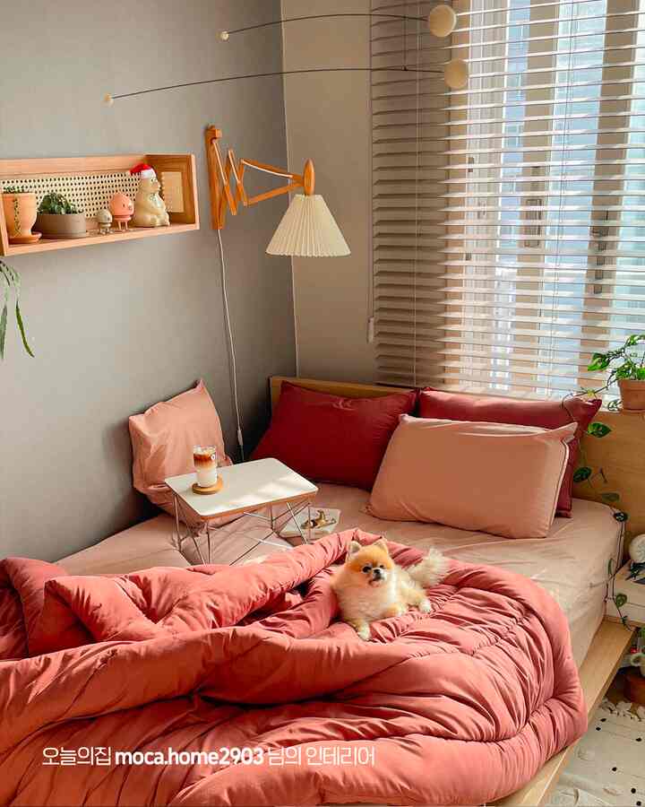 ベージュ色の壁と赤色の寝具が調和するナチュラルモダンスタイルの寝室、小さな犬がベッドの上にいる