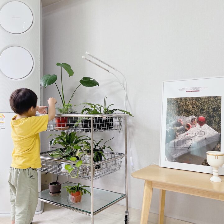 short form carousel card thumbnail