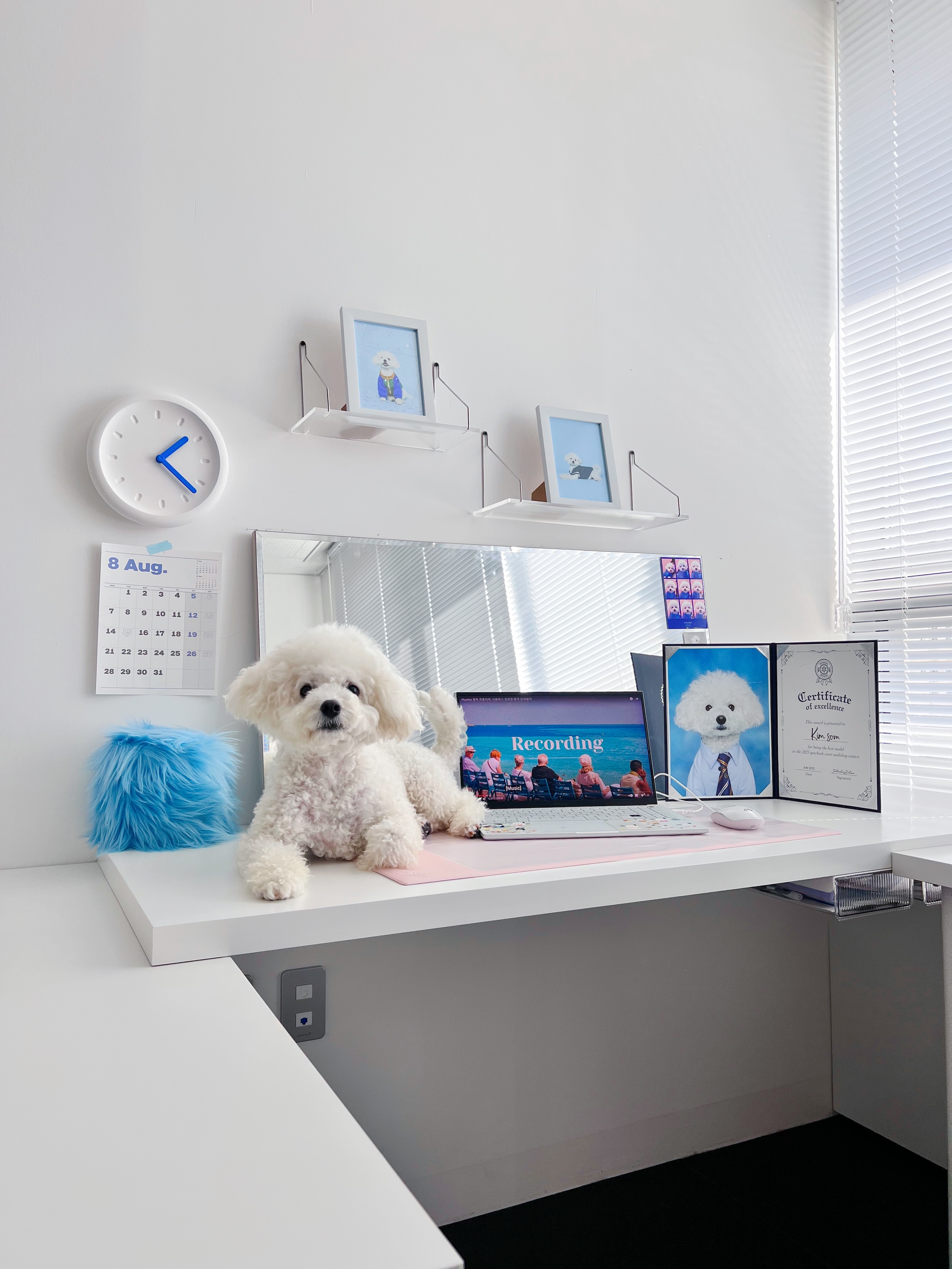 No-Drill Clear Acrylic Wall Shelf user photo