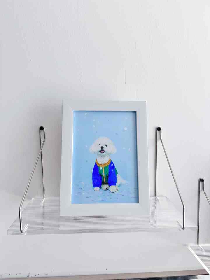 White wall space featuring transparent acrylic wall shelf with a centered dog photo, evoking a simple and clean atmosphere