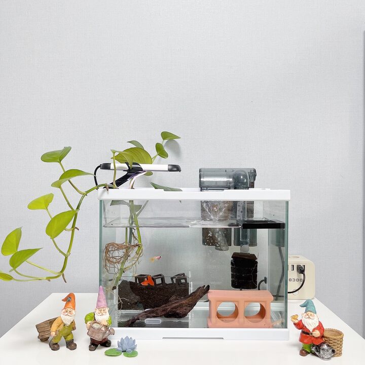 short form carousel card thumbnail