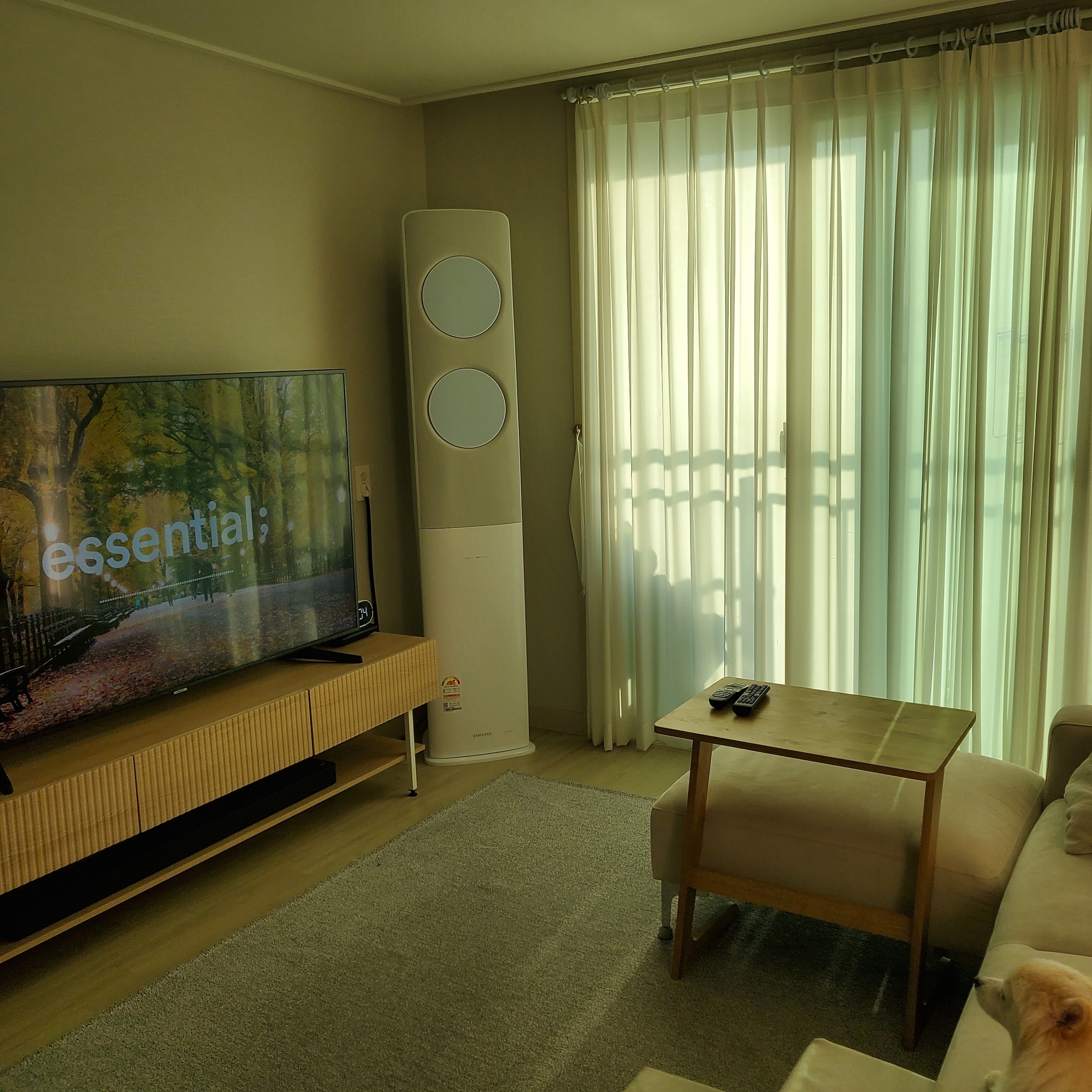 Sori Solid Wood Side Table user photo