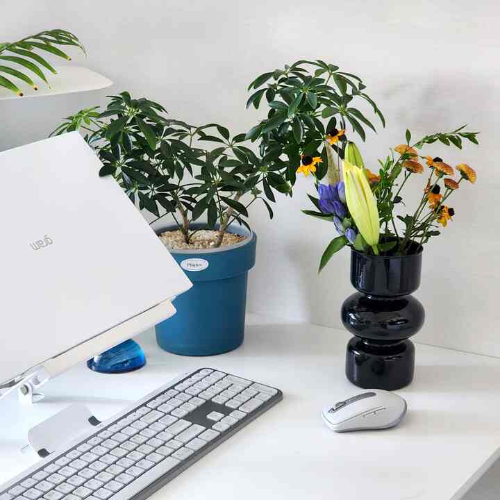 White-toned home office desk space featuring plants and glass vase with a clean, natural interior
