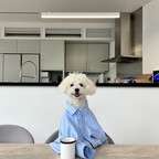 나랑 커피 한 잔 할래요?

#반려동물 #펫테리어 #반려동물용품 #펫가구 
#고양이 #반려묘 #집사 #고양이집 #냥테리어 #고양이용품 
#강아지 #반려견 #댕댕이 #강아지집 #강아지용품 #강아지인테리어 
#부엌 #그릇 #식탁 #거실 #오라이프 #오라이프추천 #테이블 #대리석테이블 

