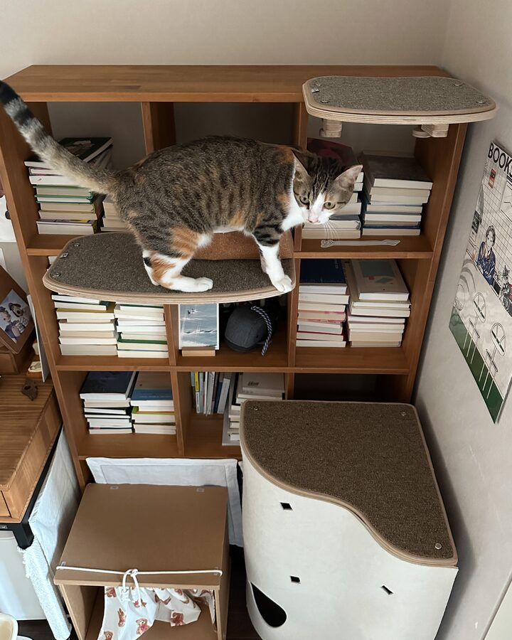 short form carousel card thumbnail