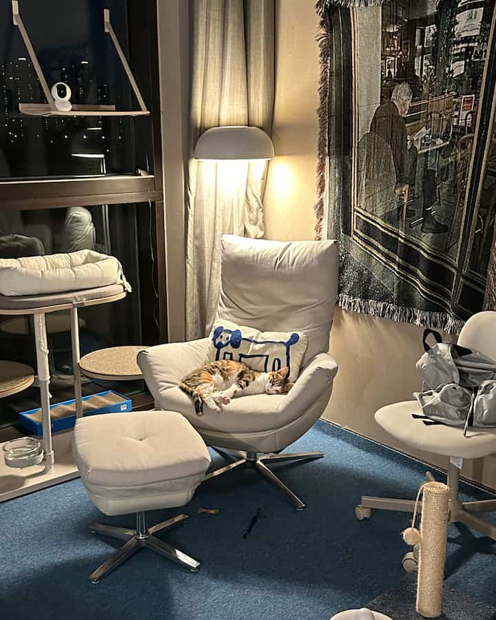 折りたたみ 窓用 キャットタワー［2色］を使ったコーディネート 2