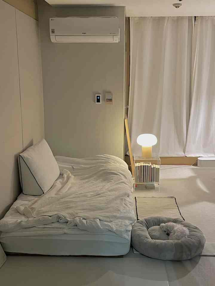 白とグレーの色調の寝室、居心地の良いベッドと犬用のグレーペットベッドが配置されたシンプルで温かみのあるインテリア