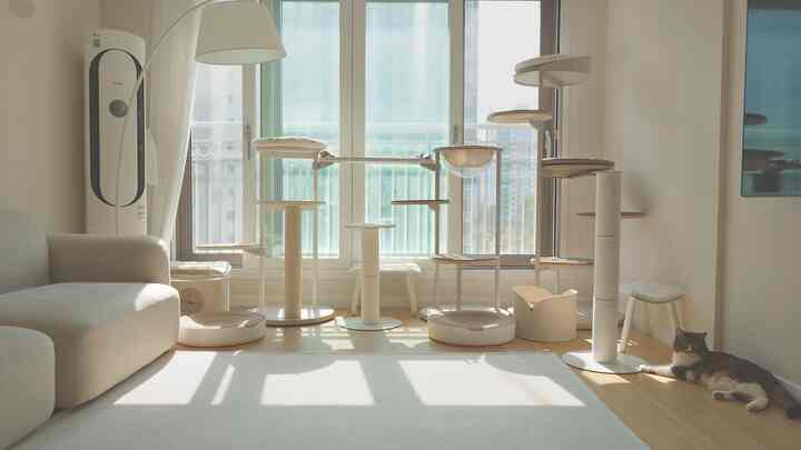 白と木目調が調和した明るいリビング、複数のキャットタワーと爪とぎが配置されたナチュラルなペット向けインテリア