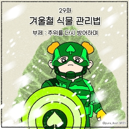 #식집사성장기
식집사의 고민 시리즈 - [겨울철 식물 관리법] 1편
추위를 방어하며- 편 입니다!
#추위
#겨울
#식물
