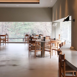 <알고보니 조명 맛집, 메종사우스케이프>
메종사우스케이프는 도산공원 뷰를 바라보며 품격 있는 식사를 즐길 수 있는 곳으로 유명하죠, 그런데 알고보면 이곳이은 음식 맛집 일 뿐만 아니라 조명 맛집, 가구 맛집이라는 사실!
#요즘뭐하집 #메종사우스케이프 #뷰맛집 #조명맛집 #가구맛집 #강남맛집 #카페인테리어 