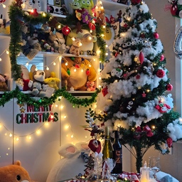 한달 내내 크리스마스 파티하는 사람의 파티일상 ! 🎄
밤에 전구가 반짝이는 모습도 좋지만 오후에 보는 전구도 예쁘다 
#크리스마스트리 #크리스마스 #크리스마스파티 #홈파티 #christmas #christmasparty
#크리스마스장면한컷 