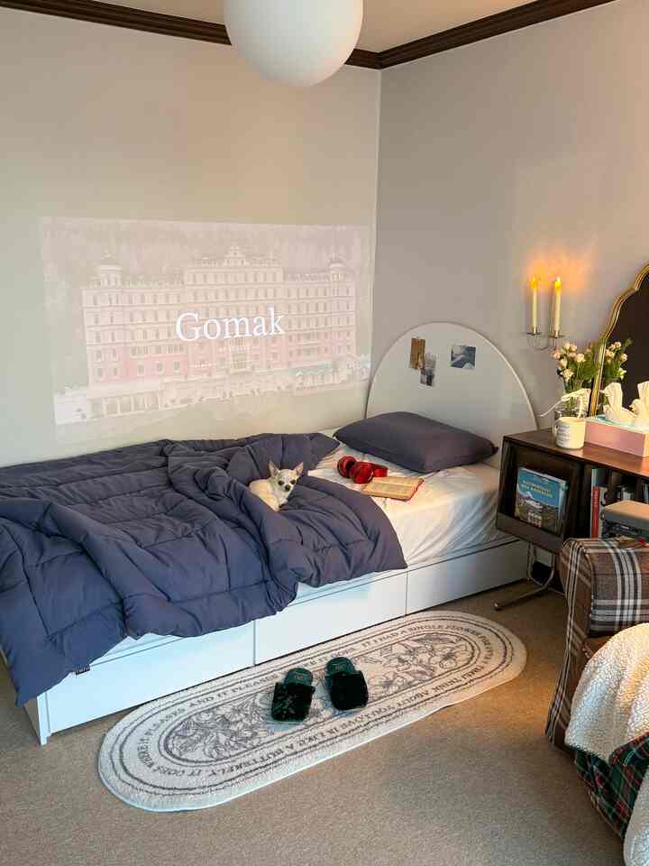 白を基調とした寝室、アーチ型のベッドフレームとダークネイビーの寝具、小型犬がいる雰囲気のあるインテリア