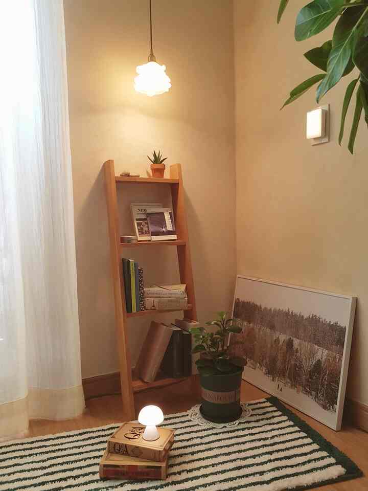 Cozy corner space with warm wood tones and natural plants arranged