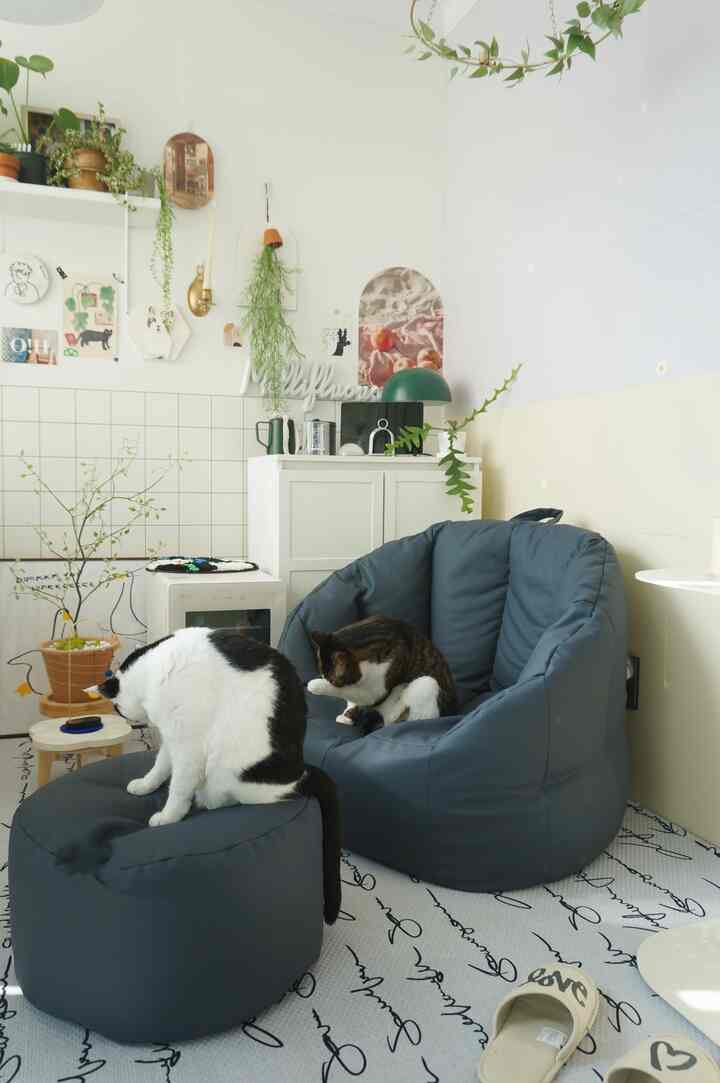 白とネイビーの色調のリビングルーム、ビーズクッションソファと猫が配置された自然で居心地の良いインテリア