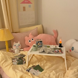 퇴근 후 힐링! 
평소 만화책 읽고 모으는걸 좋아하는데요,
퇴근 후 이렇게 몽글몽글한 취미방에서 만화책 읽을때가 제일 행복한 것 같아요! 
#집에서제일바빠오늘의힐링 #집에서제일바빠 #오하우스시즌10 #24년달력 #달력포스터 #달력추천 #달력인테리어 #집모양 #예쁜템최고야 #침대테이블 #침실꾸미기 #취미방 #취미공간 #취미생활 #취미방인테리어 #키덜트 #취미공간 #아이방꾸미기 #아이방인테색인테리어 #핑크인테리어 #파스텔인테리어 #침대추천 #이불추천 #픽켄드 #차렵이불 #새달바스켓 #고양이인형 #고양이쿠션 #만화책장 #만화 