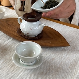 차(茶)를 공부한다고요? 🍵무슨 소리, 즐겨야죠! 